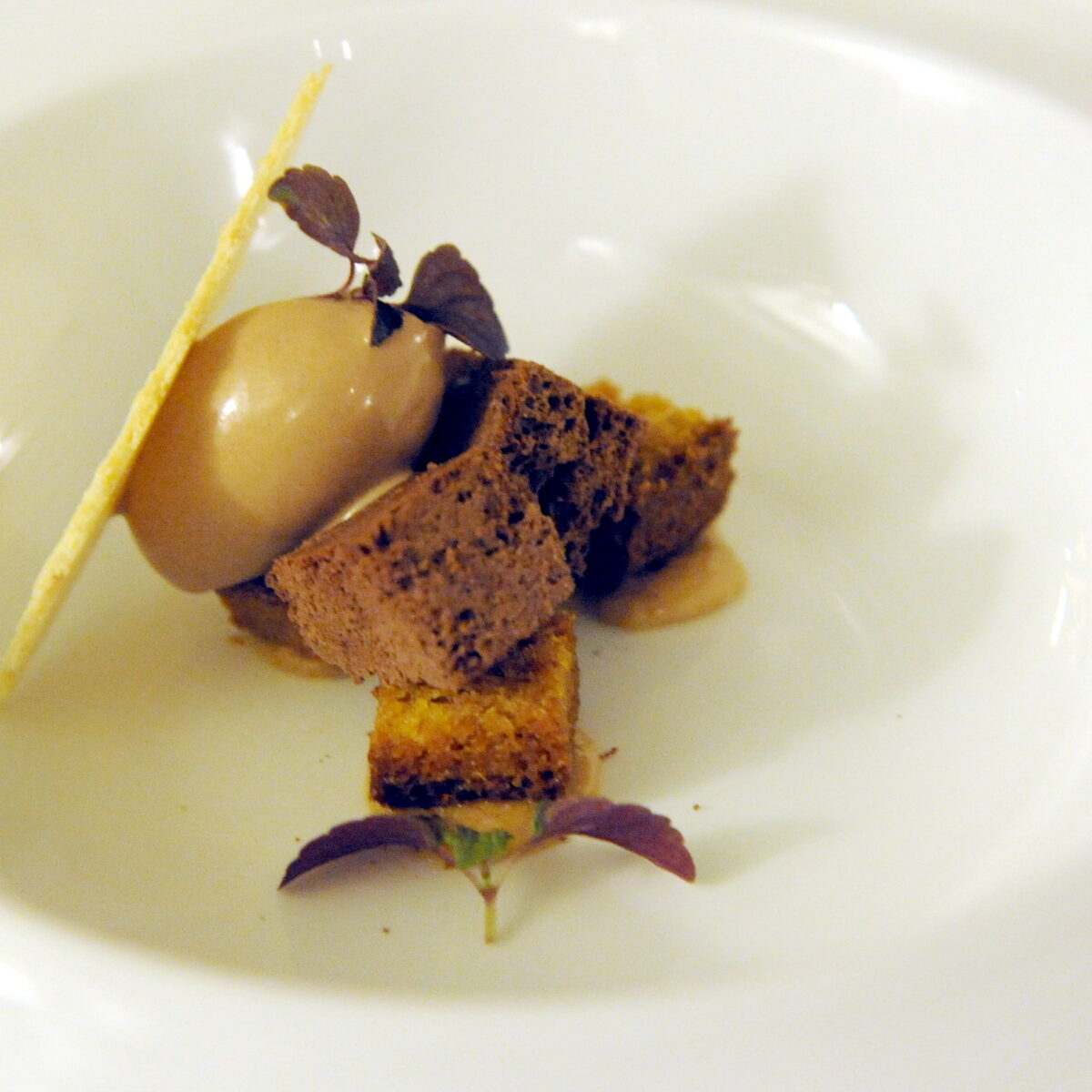 Plumcake con gelato all’olio e cioccolato