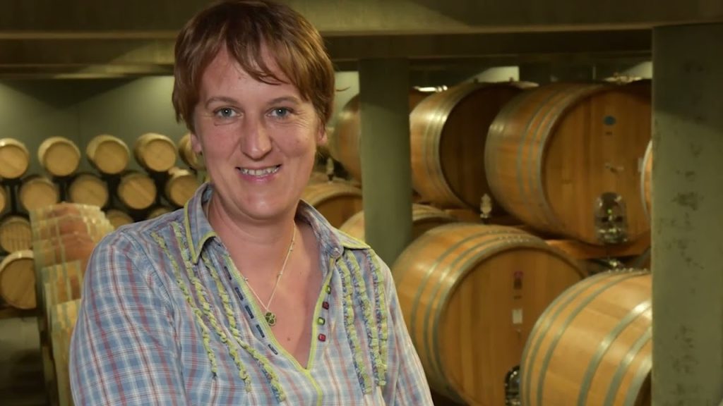 La presentazione alla cantina Terre del Barolo